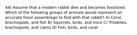 44) Assume that a modern rabbit dies and becomes fossilized. Which of the following groups of animals would represent an accurate fossil assemblage to find with that rabbit? A) Coral, brachiopods, and fish B) Squirrels, birds, and mice C) Trilobites, brachiopods, and clams D) Fish, birds, and coral