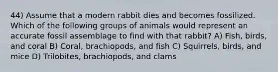 44) Assume that a modern rabbit dies and becomes fossilized. Which of the following groups of animals would represent an accurate fossil assemblage to find with that rabbit? A) Fish, birds, and coral B) Coral, brachiopods, and fish C) Squirrels, birds, and mice D) Trilobites, brachiopods, and clams