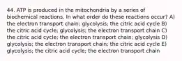 44. ATP is produced in the mitochondria by a series of biochemical reactions. In what order do these reactions occur? A) the electron transport chain; glycolysis; the citric acid cycle B) the citric acid cycle; glycolysis; the electron transport chain C) the citric acid cycle; the electron transport chain; glycolysis D) glycolysis; the electron transport chain; the citric acid cycle E) glycolysis; the citric acid cycle; the electron transport chain