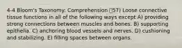 4-4 Bloom's Taxonomy: Comprehension 57) Loose connective tissue functions in all of the following ways except A) providing strong connections between muscles and bones. B) supporting epithelia. C) anchoring blood vessels and nerves. D) cushioning and stabilizing. E) filling spaces between organs.