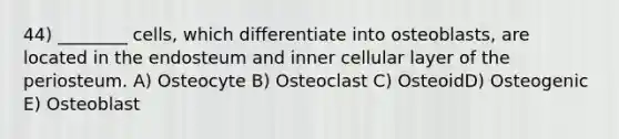 44) ________ cells, which differentiate into osteoblasts, are located in the endosteum and inner cellular layer of the periosteum. A) Osteocyte B) Osteoclast C) OsteoidD) Osteogenic E) Osteoblast