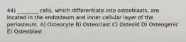 44) ________ cells, which differentiate into osteoblasts, are located in the endosteum and inner cellular layer of the periosteum. A) Osteocyte B) Osteoclast C) Osteoid D) Osteogenic E) Osteoblast