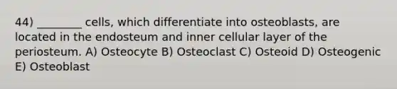 44) ________ cells, which differentiate into osteoblasts, are located in the endosteum and inner cellular layer of the periosteum. A) Osteocyte B) Osteoclast C) Osteoid D) Osteogenic E) Osteoblast