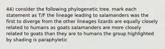 44) consider the following phylogenetic tree. mark each statement as T/F the lineage leading to salamanders was the first to diverge from the other lineages lizards are equally closely related to humans as goats salamanders are more closely related to goats than they are to humans the group highlighted by shading is paraphyletic