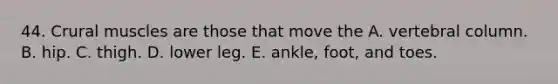 44. Crural muscles are those that move the A. <a href='https://www.questionai.com/knowledge/ki4fsP39zf-vertebral-column' class='anchor-knowledge'>vertebral column</a>. B. hip. C. thigh. D. lower leg. E. ankle, foot, and toes.