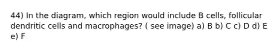 44) In the diagram, which region would include B cells, follicular dendritic cells and macrophages? ( see image) a) B b) C c) D d) E e) F