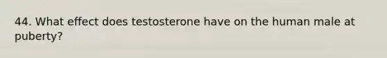 44. What effect does testosterone have on the human male at puberty?