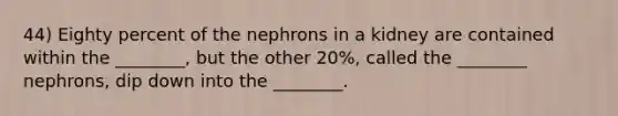 44) Eighty percent of the nephrons in a kidney are contained within the ________, but the other 20%, called the ________ nephrons, dip down into the ________.