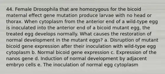 44. Female Drosophila that are homozygous for the bicoid maternal effect gene mutation produce larvae with no head or thorax. When cytoplasm from the anterior end of a wild-type egg is inoculated into the anterior end of a bicoid mutant egg, the treated egg develops normally. What causes the restoration of normal development in the mutant eggs? a. Disruption of mutant bicoid gene expression after their inoculation with wild-type egg cytoplasm b. Normal bicoid gene expression c. Expression of the nanos gene d. Induction of normal development by adjacent embryo cells e. The inoculation of normal egg cytoplasm