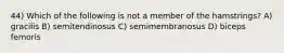 44) Which of the following is not a member of the hamstrings? A) gracilis B) semitendinosus C) semimembranosus D) biceps femoris