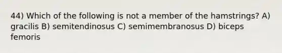 44) Which of the following is not a member of the hamstrings? A) gracilis B) semitendinosus C) semimembranosus D) biceps femoris