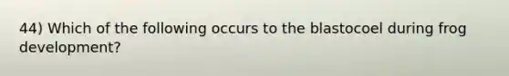 44) Which of the following occurs to the blastocoel during frog development?