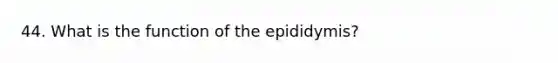 44. What is the function of the epididymis?