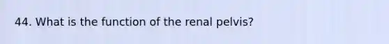 44. What is the function of the renal pelvis?