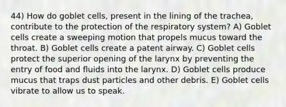 44) How do goblet cells, present in the lining of the trachea, contribute to the protection of the respiratory system? A) Goblet cells create a sweeping motion that propels mucus toward the throat. B) Goblet cells create a patent airway. C) Goblet cells protect the superior opening of the larynx by preventing the entry of food and fluids into the larynx. D) Goblet cells produce mucus that traps dust particles and other debris. E) Goblet cells vibrate to allow us to speak.