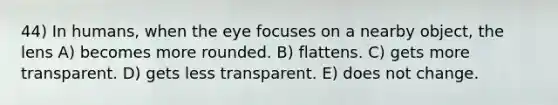 44) In humans, when the eye focuses on a nearby object, the lens A) becomes more rounded. B) flattens. C) gets more transparent. D) gets less transparent. E) does not change.