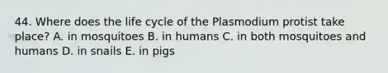 44. Where does the life cycle of the Plasmodium protist take place? A. in mosquitoes B. in humans C. in both mosquitoes and humans D. in snails E. in pigs