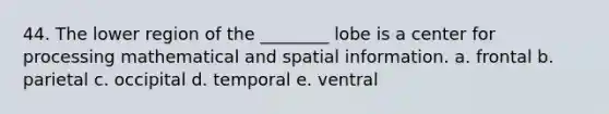 44. The lower region of the ________ lobe is a center for processing mathematical and spatial information. a. frontal b. parietal c. occipital d. temporal e. ventral