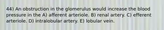 44) An obstruction in the glomerulus would increase the blood pressure in the A) afferent arteriole. B) renal artery. C) efferent arteriole. D) intralobular artery. E) lobular vein.