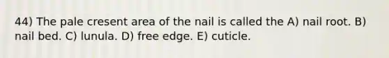 44) The pale cresent area of the nail is called the A) nail root. B) nail bed. C) lunula. D) free edge. E) cuticle.