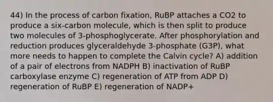 44) In the process of carbon fixation, RuBP attaches a CO2 to produce a six-carbon molecule, which is then split to produce two molecules of 3-phosphoglycerate. After phosphorylation and reduction produces glyceraldehyde 3-phosphate (G3P), what more needs to happen to complete the Calvin cycle? A) addition of a pair of electrons from NADPH B) inactivation of RuBP carboxylase enzyme C) regeneration of ATP from ADP D) regeneration of RuBP E) regeneration of NADP+