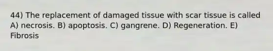 44) The replacement of damaged tissue with scar tissue is called A) necrosis. B) apoptosis. C) gangrene. D) Regeneration. E) Fibrosis