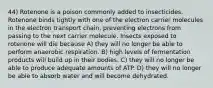 44) Rotenone is a poison commonly added to insecticides. Rotenone binds tightly with one of the electron carrier molecules in the electron transport chain, preventing electrons from passing to the next carrier molecule. Insects exposed to rotenone will die because A) they will no longer be able to perform anaerobic respiration. B) high levels of fermentation products will build up in their bodies. C) they will no longer be able to produce adequate amounts of ATP. D) they will no longer be able to absorb water and will become dehydrated.