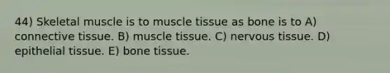 44) Skeletal muscle is to muscle tissue as bone is to A) <a href='https://www.questionai.com/knowledge/kYDr0DHyc8-connective-tissue' class='anchor-knowledge'>connective tissue</a>. B) muscle tissue. C) <a href='https://www.questionai.com/knowledge/kqA5Ws88nP-nervous-tissue' class='anchor-knowledge'>nervous tissue</a>. D) <a href='https://www.questionai.com/knowledge/k7dms5lrVY-epithelial-tissue' class='anchor-knowledge'>epithelial tissue</a>. E) bone tissue.