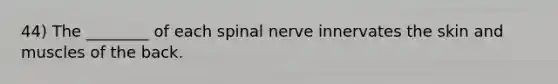 44) The ________ of each spinal nerve innervates the skin and muscles of the back.