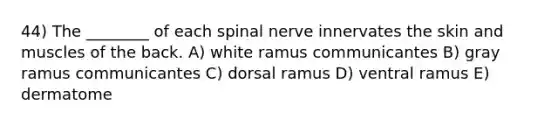 44) The ________ of each spinal nerve innervates the skin and muscles of the back. A) white ramus communicantes B) gray ramus communicantes C) dorsal ramus D) ventral ramus E) dermatome