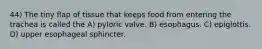 44) The tiny flap of tissue that keeps food from entering the trachea is called the A) pyloric valve. B) esophagus. C) epiglottis. D) upper esophageal sphincter.