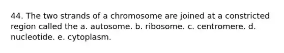 44. The two strands of a chromosome are joined at a constricted region called the a. autosome. b. ribosome. c. centromere. d. nucleotide. e. cytoplasm.