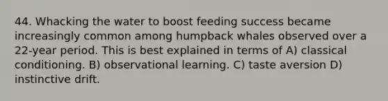 44. Whacking the water to boost feeding success became increasingly common among humpback whales observed over a 22-year period. This is best explained in terms of A) classical conditioning. B) observational learning. C) taste aversion D) instinctive drift.