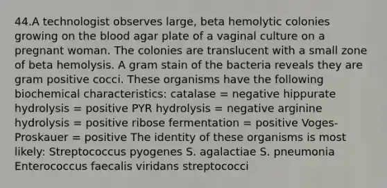 44.A technologist observes large, beta hemolytic colonies growing on <a href='https://www.questionai.com/knowledge/k7oXMfj7lk-the-blood' class='anchor-knowledge'>the blood</a> agar plate of a vaginal culture on a pregnant woman. The colonies are translucent with a small zone of beta hemolysis. A gram stain of the bacteria reveals they are gram positive cocci. These organisms have the following biochemical characteristics: catalase = negative hippurate hydrolysis = positive PYR hydrolysis = negative arginine hydrolysis = positive ribose fermentation = positive Voges-Proskauer = positive The identity of these organisms is most likely: Streptococcus pyogenes S. agalactiae S. pneumonia Enterococcus faecalis viridans streptococci