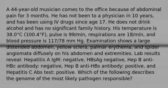 A 44-year-old musician comes to the office because of abdominal pain for 3 months. He has not been to a physician in 10 years, and has been using IV drugs since age 17. He does not drink alcohol and has no significant family history. His temperature is 38.0°C (100.4°F), pulse is 99/min, respirations are 18/min, and blood pressure is 117/78 mm Hg. Examination shows a large distended abdomen, yellow sclera, palmar erythema, and spider angiomata diffusely on his abdomen and extremities. Lab results reveal: Hepatitis A IgM: negative, HBsAg negative, Hep B anti-HBc antibody: negative, Hep B anti-HBs antibody: positive, and Hepatitis C Abs test: positive. Which of the following describes the genome of the most likely pathogen responsible?