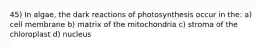 45) In algae, the dark reactions of photosynthesis occur in the: a) cell membrane b) matrix of the mitochondria c) stroma of the chloroplast d) nucleus