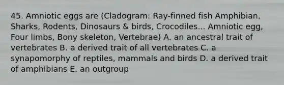 45. Amniotic eggs are (Cladogram: Ray-finned fish Amphibian, Sharks, Rodents, Dinosaurs & birds, Crocodiles... Amniotic egg, Four limbs, Bony skeleton, Vertebrae) A. an ancestral trait of vertebrates B. a derived trait of all vertebrates C. a synapomorphy of reptiles, mammals and birds D. a derived trait of amphibians E. an outgroup