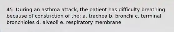 45. During an asthma attack, the patient has difficulty breathing because of constriction of the: a. trachea b. bronchi c. terminal bronchioles d. alveoli e. respiratory membrane