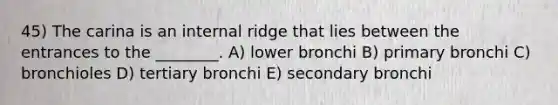 45) The carina is an internal ridge that lies between the entrances to the ________. A) lower bronchi B) primary bronchi C) bronchioles D) tertiary bronchi E) secondary bronchi