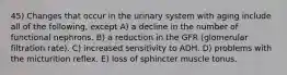 45) Changes that occur in the urinary system with aging include all of the following, except A) a decline in the number of functional nephrons. B) a reduction in the GFR (glomerular filtration rate). C) increased sensitivity to ADH. D) problems with the micturition reflex. E) loss of sphincter muscle tonus.