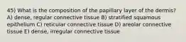 45) What is the composition of the papillary layer of the dermis? A) dense, regular connective tissue B) stratified squamous epithelium C) reticular connective tissue D) areolar connective tissue E) dense, irregular connective tissue