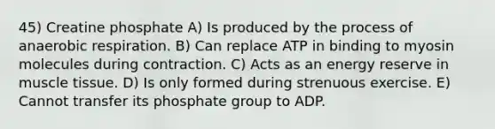 45) Creatine phosphate A) Is produced by the process of anaerobic respiration. B) Can replace ATP in binding to myosin molecules during contraction. C) Acts as an energy reserve in muscle tissue. D) Is only formed during strenuous exercise. E) Cannot transfer its phosphate group to ADP.