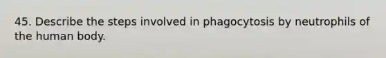 45. Describe the steps involved in phagocytosis by neutrophils of the human body.