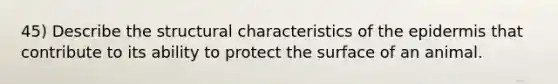 45) Describe the structural characteristics of the epidermis that contribute to its ability to protect the surface of an animal.