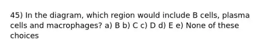 45) In the diagram, which region would include B cells, plasma cells and macrophages? a) B b) C c) D d) E e) None of these choices