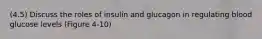 (4.5) Discuss the roles of insulin and glucagon in regulating blood glucose levels (Figure 4-10)