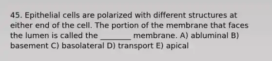 45. Epithelial cells are polarized with different structures at either end of the cell. The portion of the membrane that faces the lumen is called the ________ membrane. A) abluminal B) basement C) basolateral D) transport E) apical