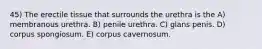 45) The erectile tissue that surrounds the urethra is the A) membranous urethra. B) penile urethra. C) glans penis. D) corpus spongiosum. E) corpus cavernosum.