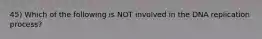 45) Which of the following is NOT involved in the DNA replication process?