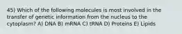 45) Which of the following molecules is most involved in the transfer of genetic information from the nucleus to the cytoplasm? A) DNA B) mRNA C) tRNA D) Proteins E) Lipids